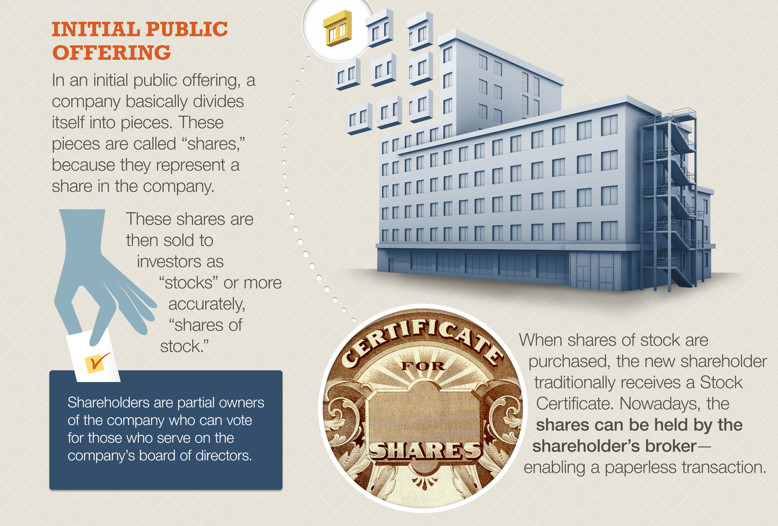 The first section, titled Initial Public Offering, explains that in an IPO a company divides itself into pieces called shares, which represent ownership in the company. These shares are then sold to investors as stocks. Shareholders are partial owners who can vote for the board of directors. Traditionally, shareholders received paper stock certificates, but today shares can be held electronically by brokers. 