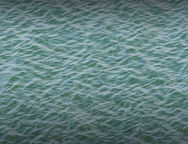 What Is My Current Cash Flow?