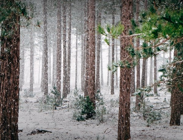 4 Tips to Avoid an Insurance Claim This Winter