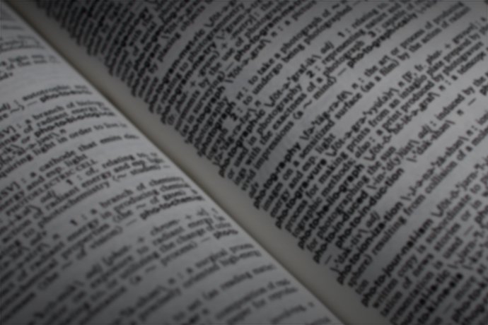 What is an Adjuster?